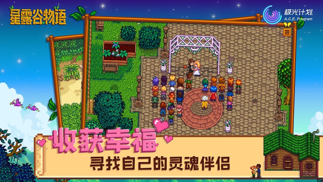 星露谷物语 终极版 截图1
